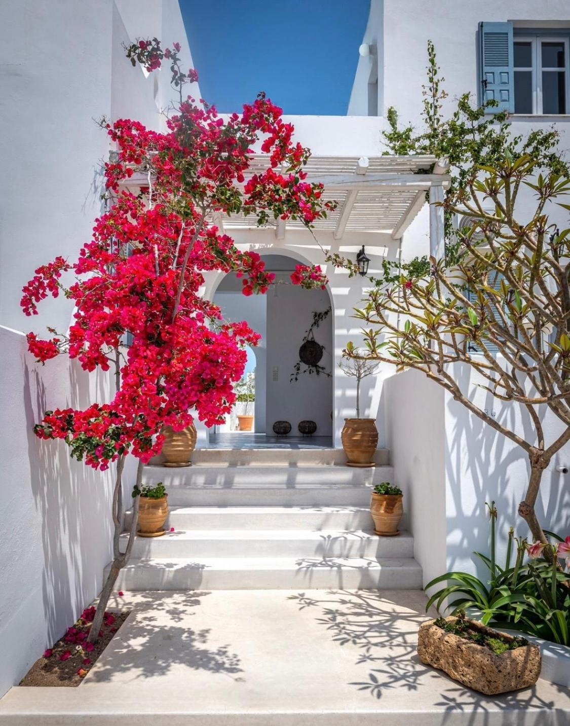 Anita Rooms & Suites Milos Adamantas  Exterior photo