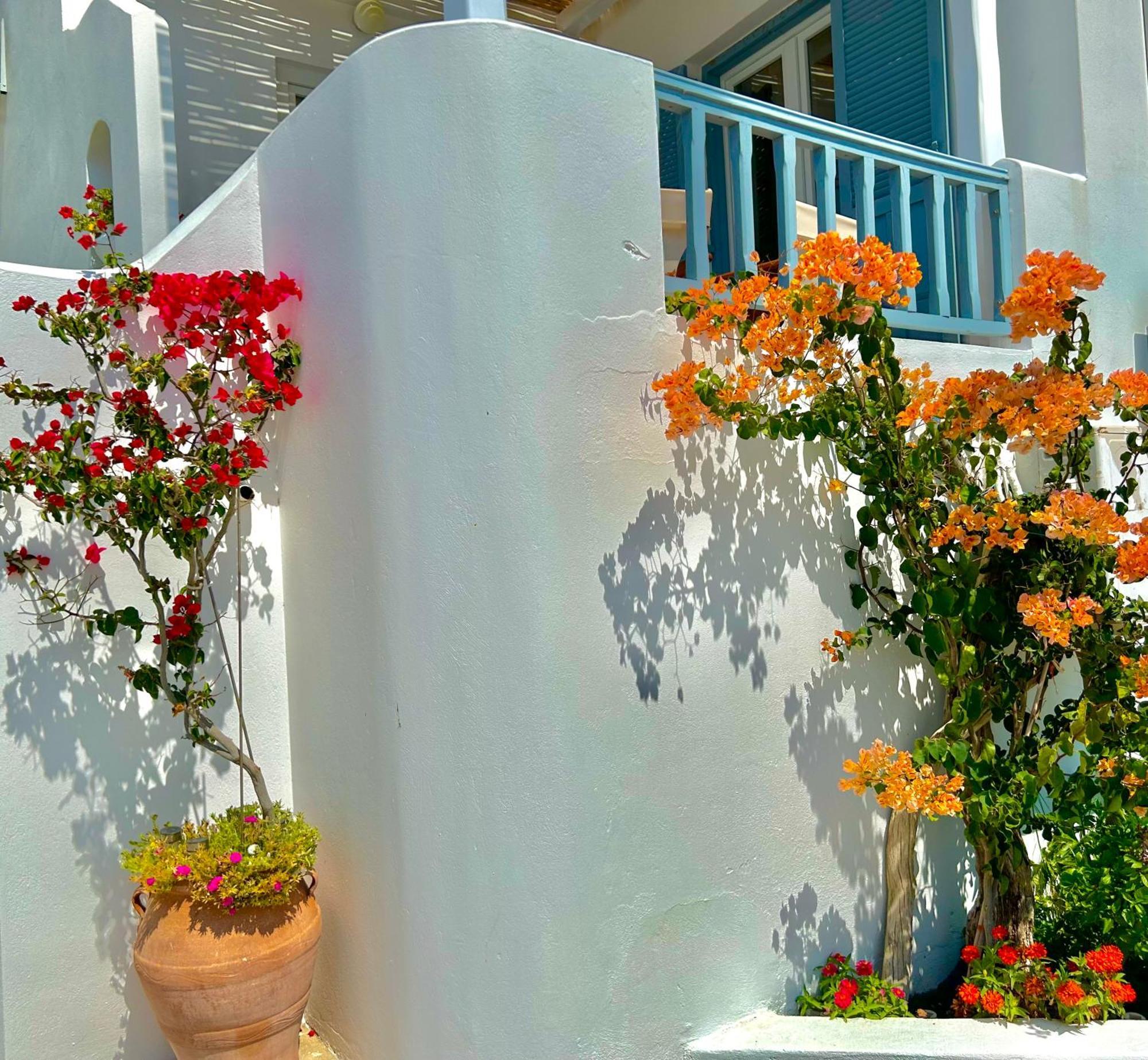 Anita Rooms & Suites Milos Adamantas  Exterior photo